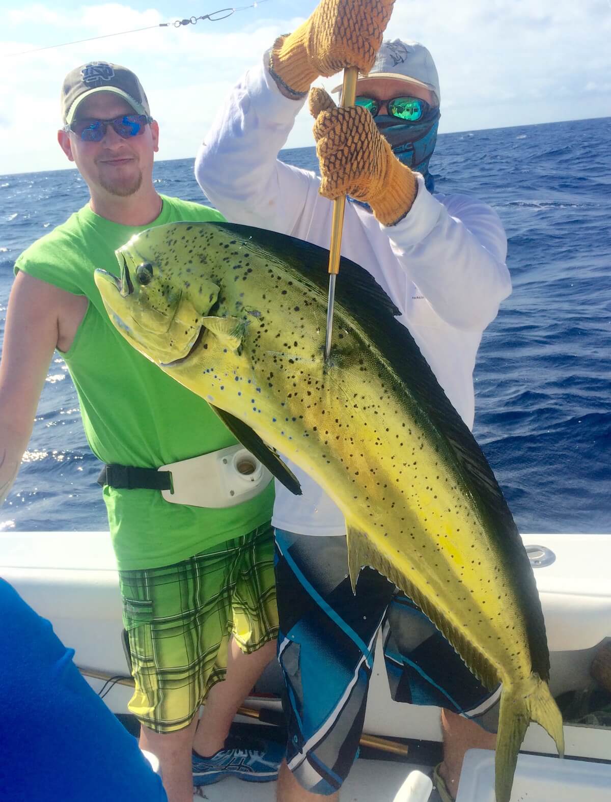 Puerto Rico Fishing Charters Sport Fishing in the Caribbean, La