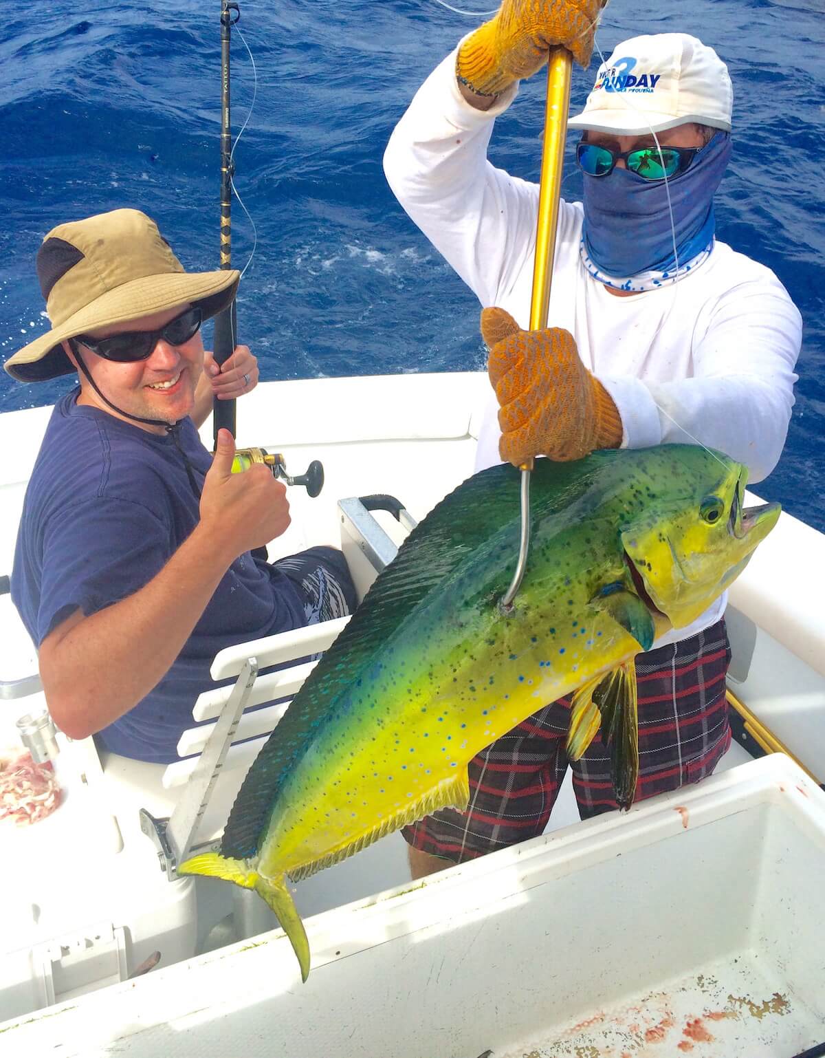 Puerto Rico Fishing Charters Sport Fishing in the Caribbean, La